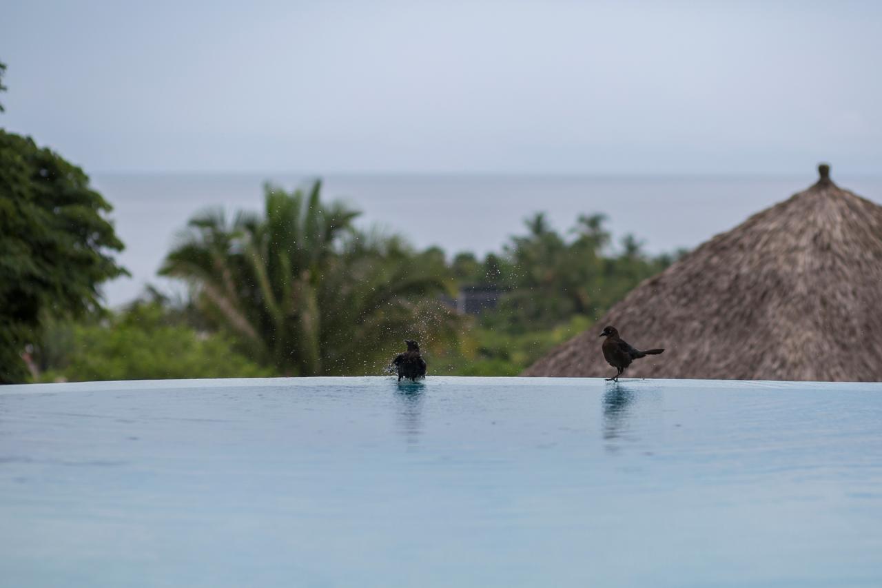 Anjali Casa Divina Hotell Sayulita Exteriör bild